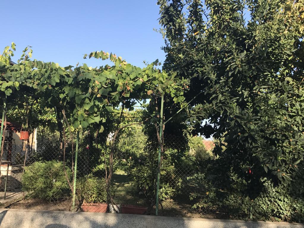 Къща за гости Планинско Гнездо Tŭzha Екстериор снимка