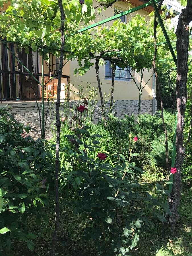 Къща за гости Планинско Гнездо Tŭzha Екстериор снимка